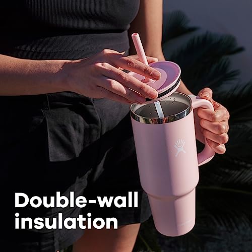 Hydro Flask All Around Travel Tumbler